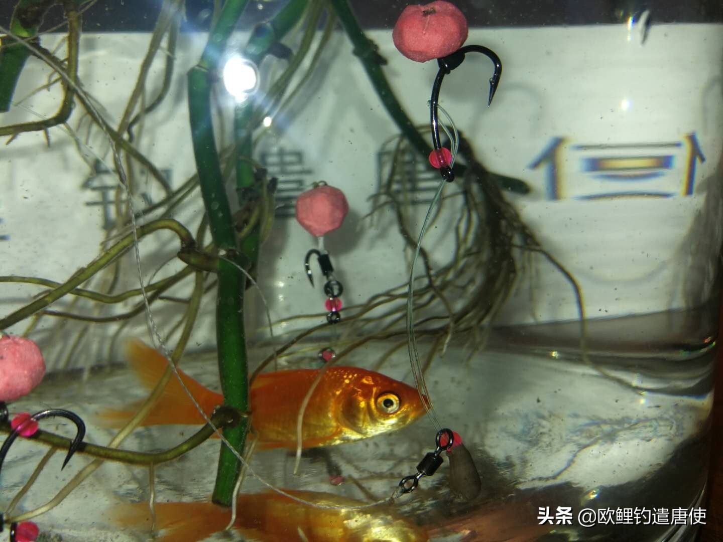 钓鱼为何都是小鱼,钓鱼不咬钩的多种原因和应对技巧