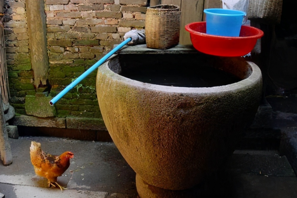 野生鲫鱼凶吗,鲫鱼生命力有多恐怖