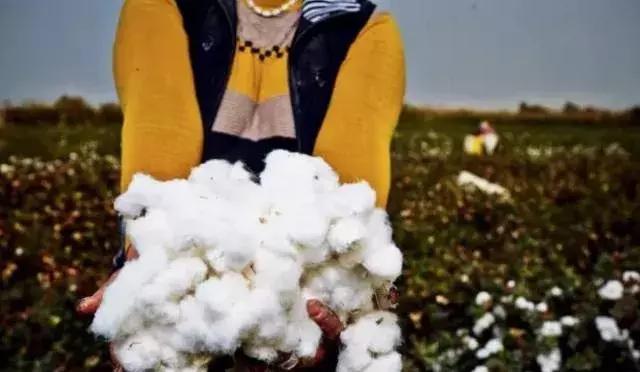 南疆小县城的百年饮料，制作技术堪比茅台，被誉为中国白兰地