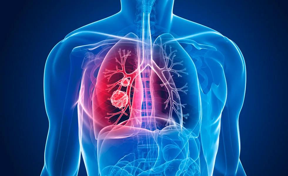 西方不亮东方亮原文,东方不亮西方亮