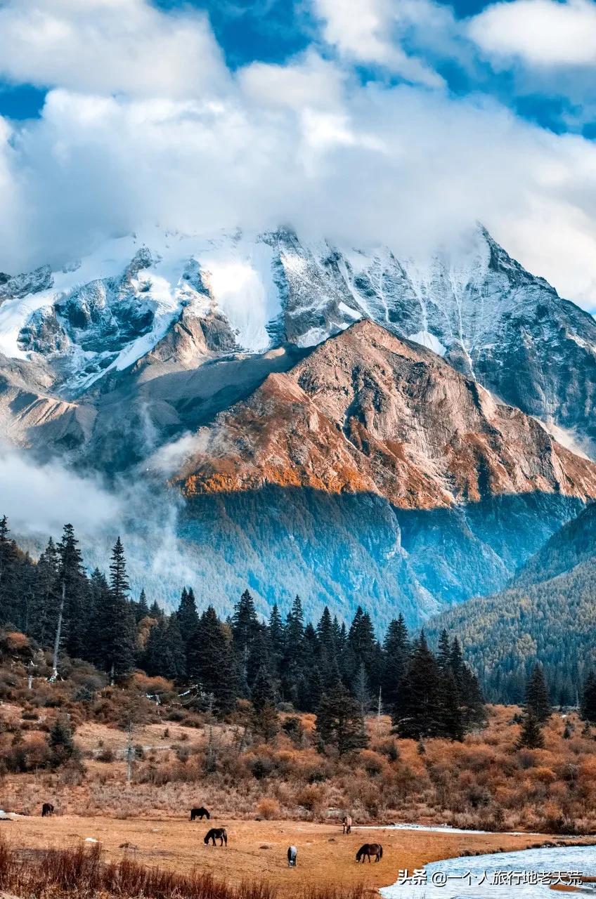 忽然想去自驾游了,想去川西看星空