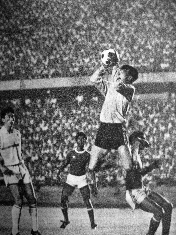 一张照片引起的回忆500字,一张照片引起的回忆作文