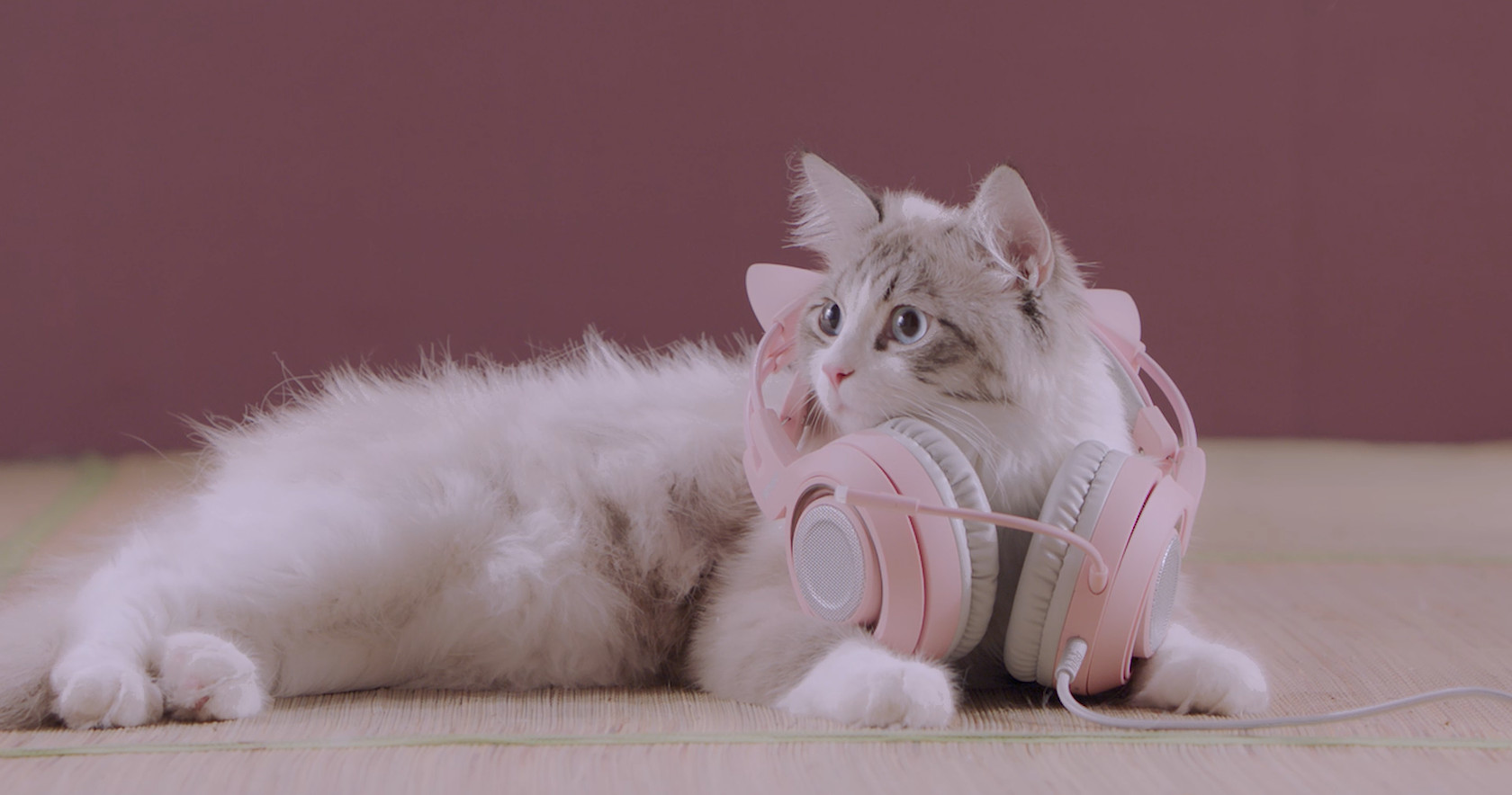 抖音挑战赛结果公示,抖音挑战赛中奖通知