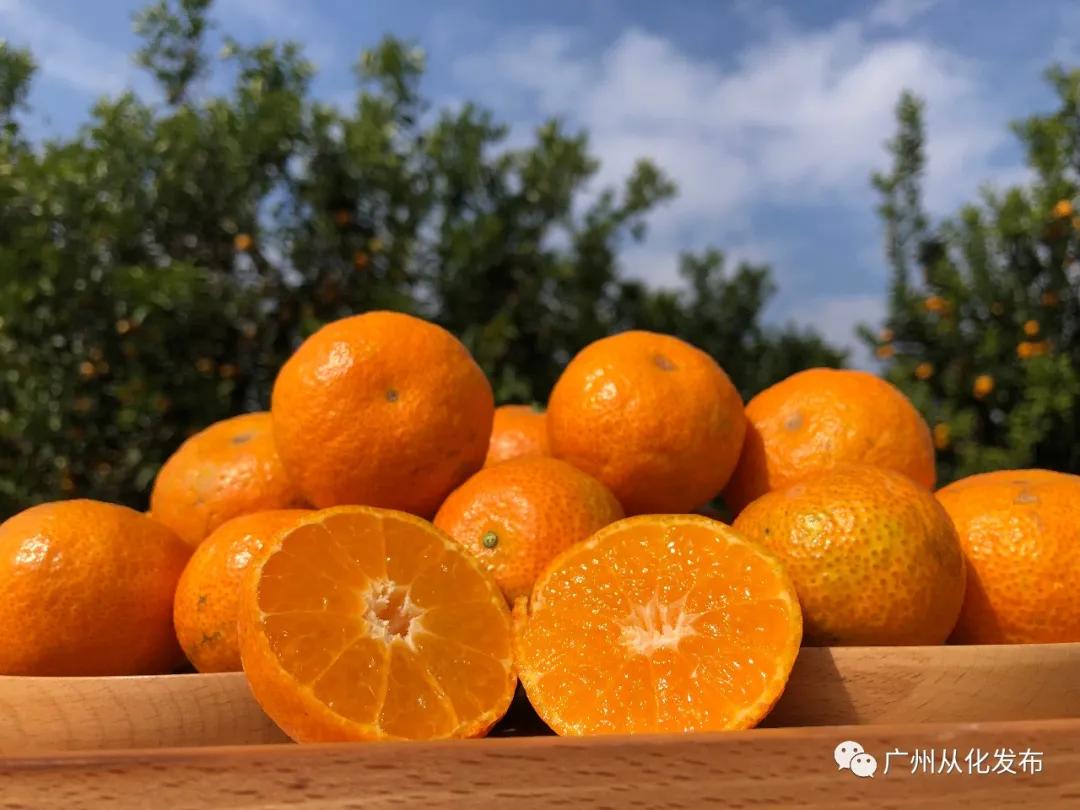 楂樻牎瀛︾敓鐪间腑鐨勫叡闈掑洟,楂樻牎鐢熺溂涓殑鏃朵唬鍙樿縼