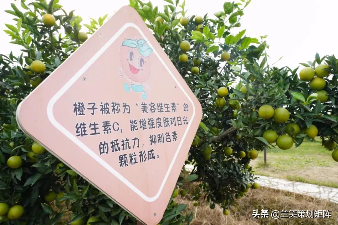 汉寿马涧村，此岸闻歌声，甜如糖橙的诗意栖居地