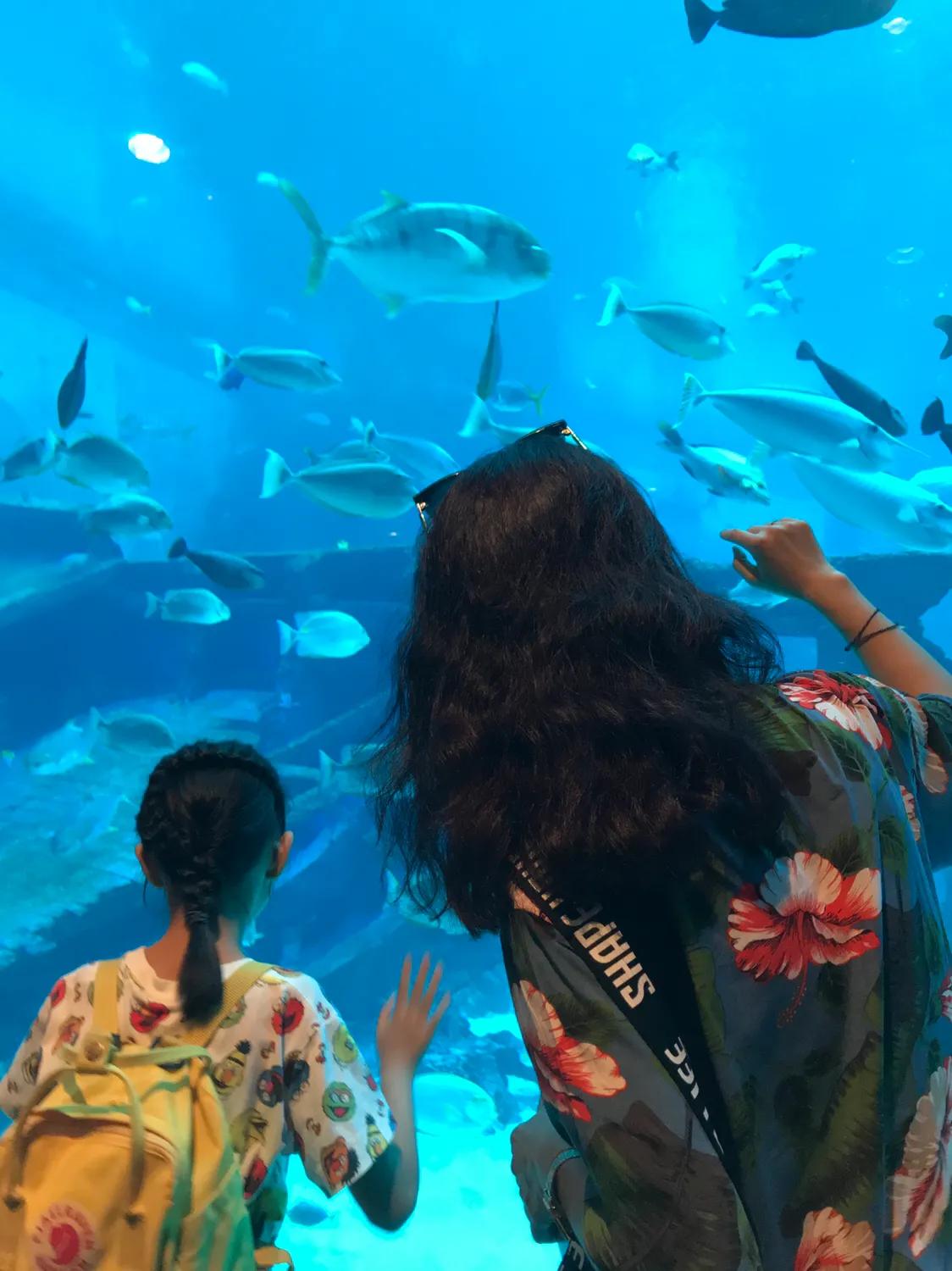 新加坡经典一日游,新加坡一日游必去景点