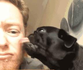 每天掉100根头发多久秃头,每天掉200根头发多久会秃头