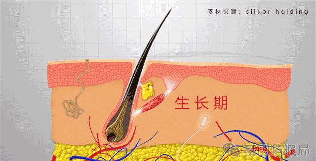 求求你漫画,漫画科普转给爸妈看