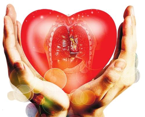 中国推进*体器人官**捐献改革