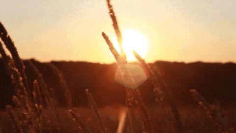 salvatoreferragamo,salvatoreferragamo涓巉erragamo