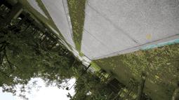 weebill2稳定器怎么样,weebill稳定器手机