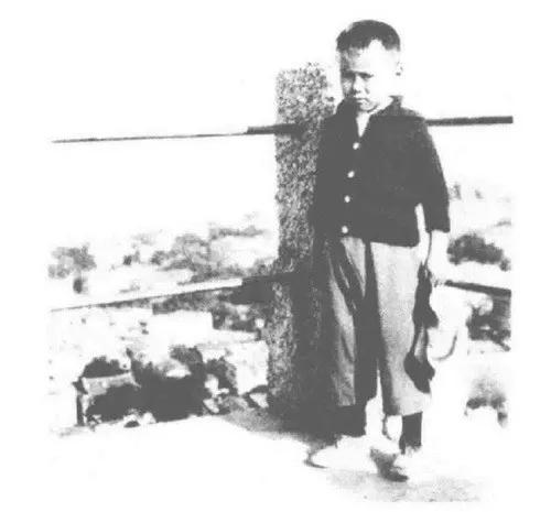 101岁杨振宁罕见出镜,杨振宁百岁生日快乐