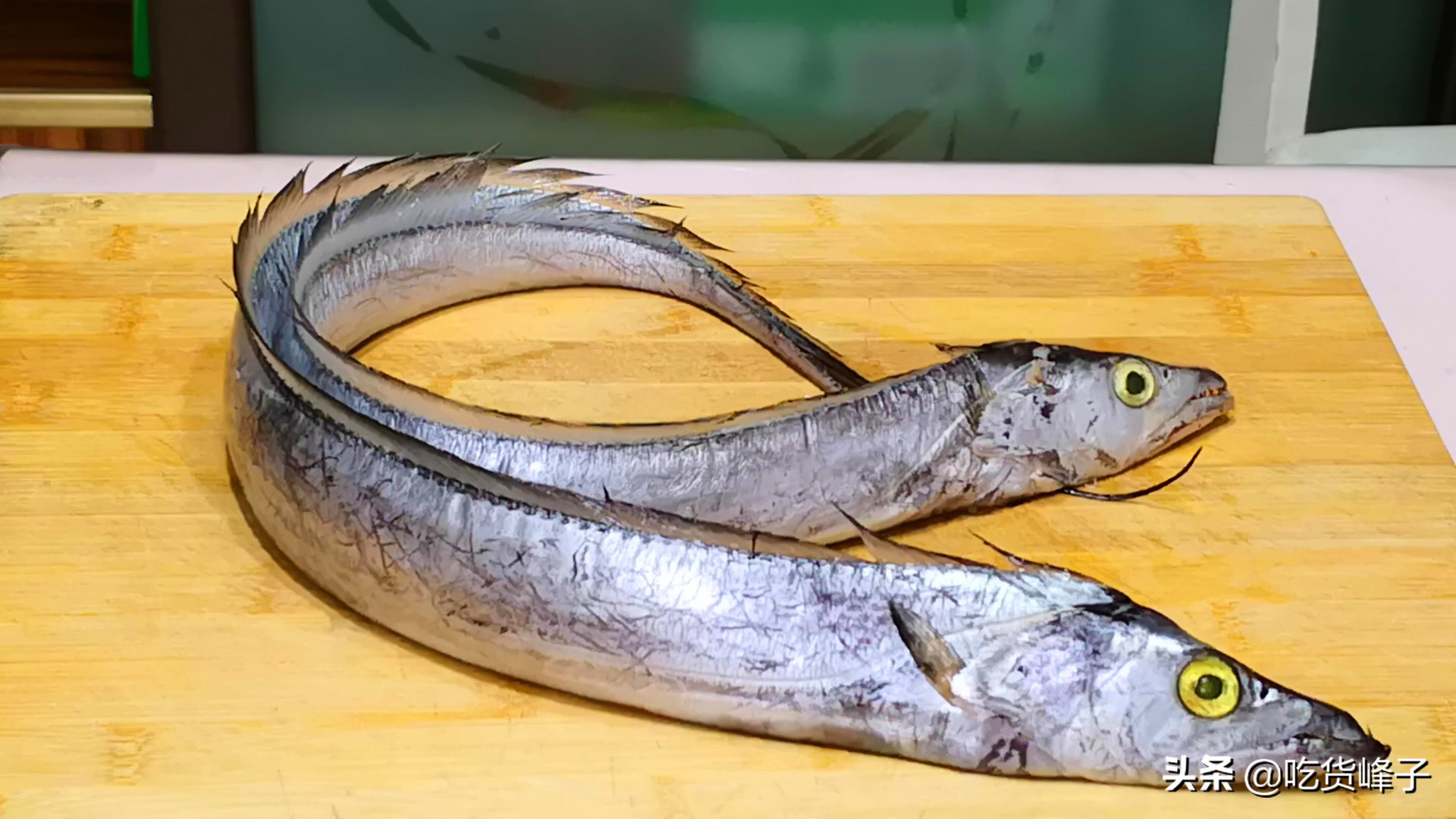 春节前卖什么鱼最好养殖,人工养殖鱼哪种最安全