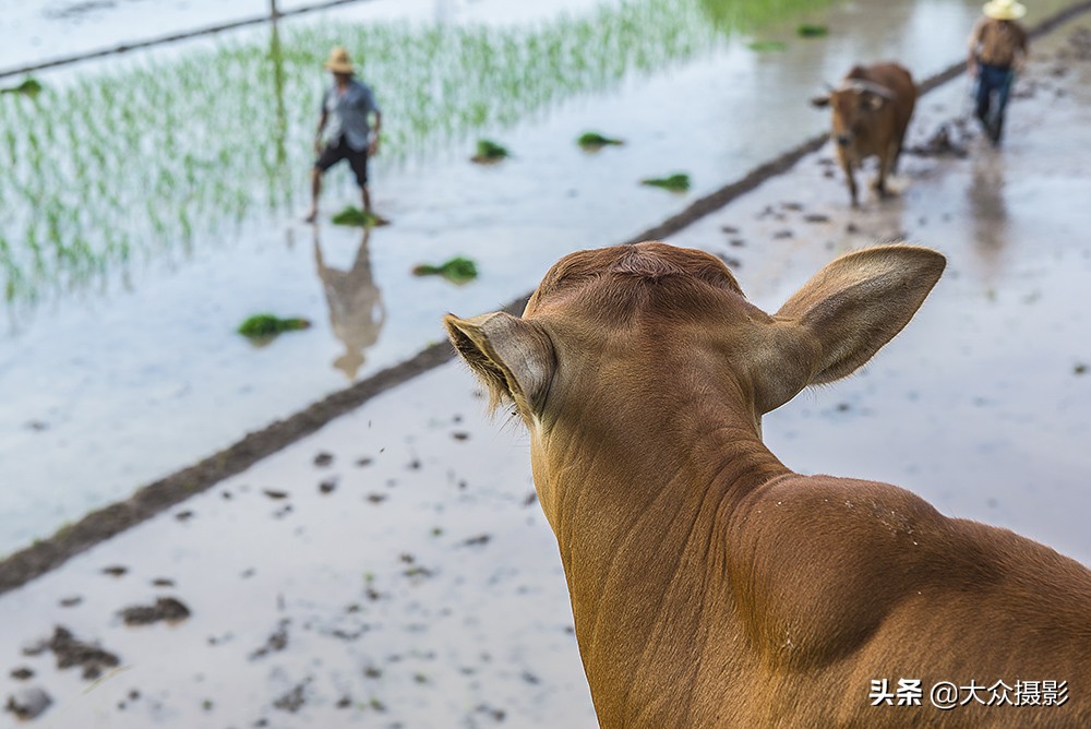 八种基本构图技巧,学会这九个实用构图技巧