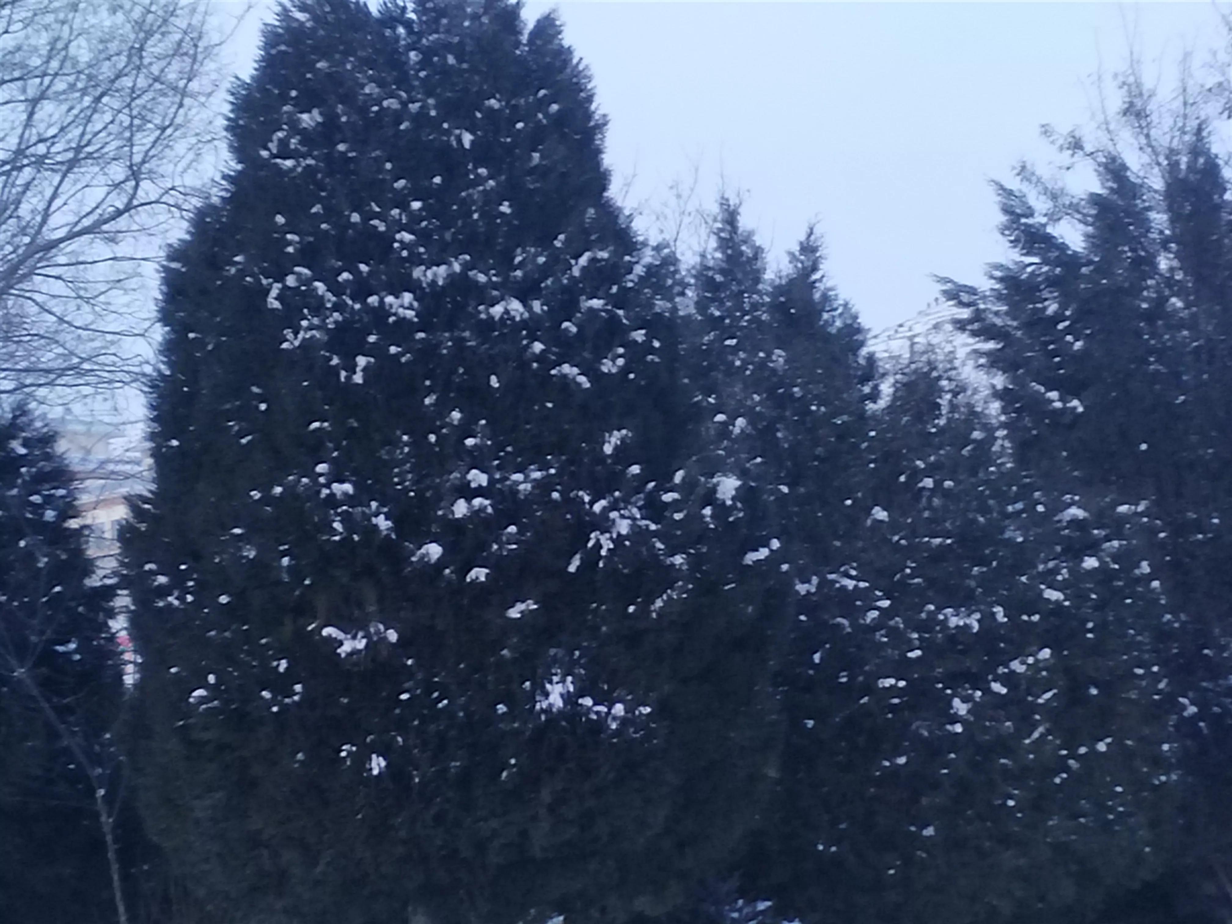 数九寒天顺口溜,俗语中怎样说数九寒天的