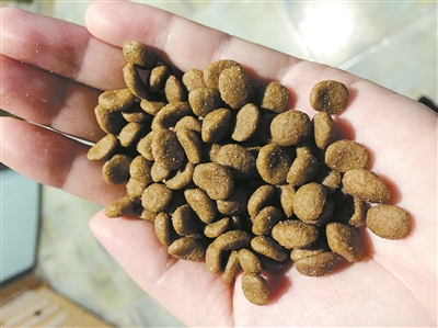 柴犬幼犬能吃什么柴犬狗粮排行,柴犬吃什么狗粮比较好