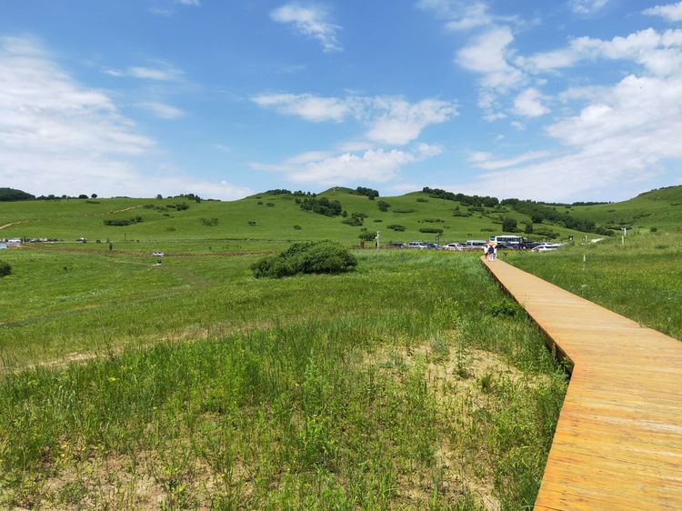 美丽的高岭塞罕坝,美丽的高岭朗诵