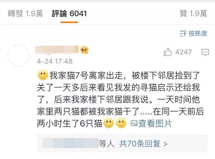 猫圈玄学,十橘九渣