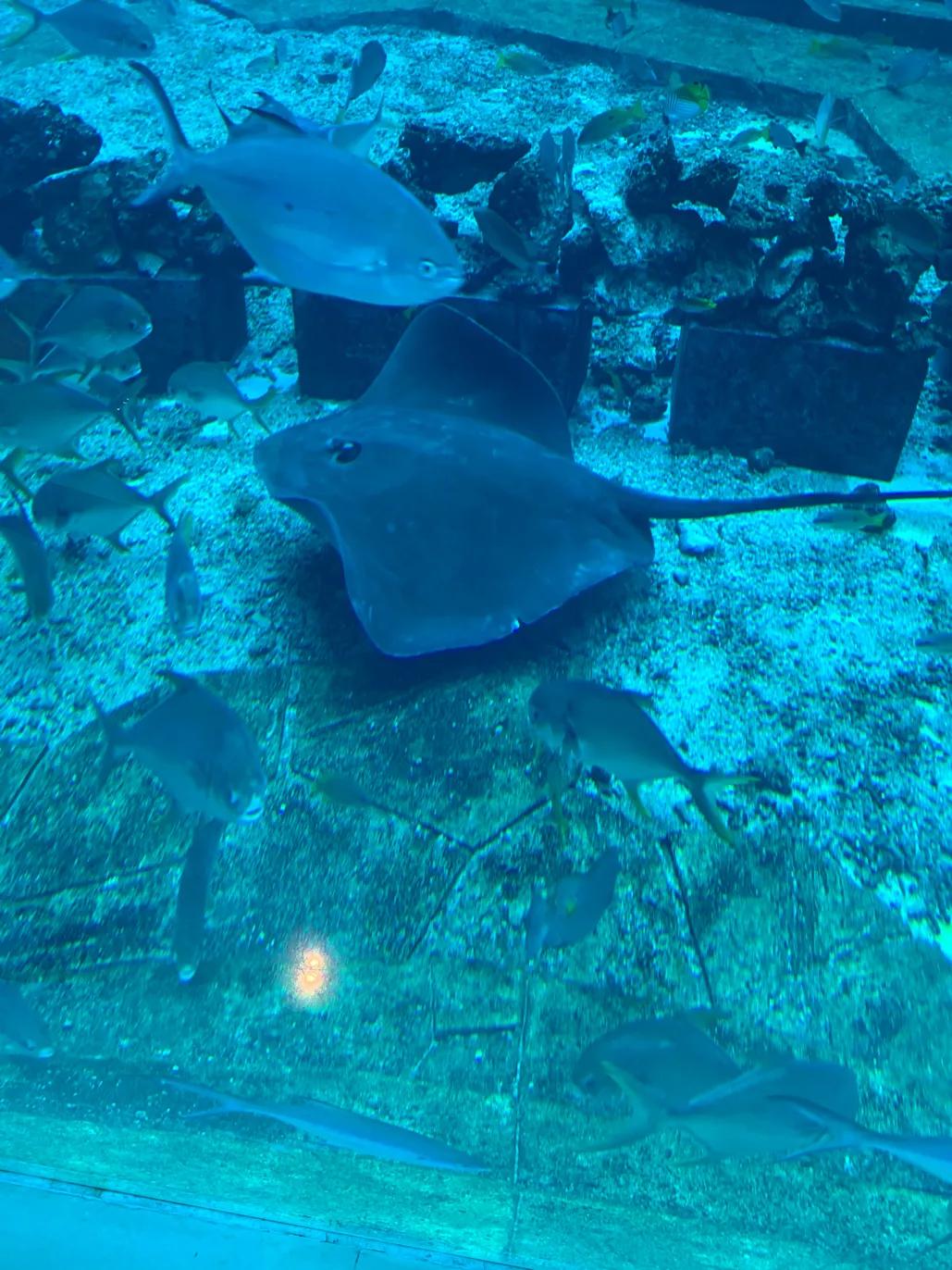 三亚旅游攻略7天自由行,三亚自由行6天旅游攻略