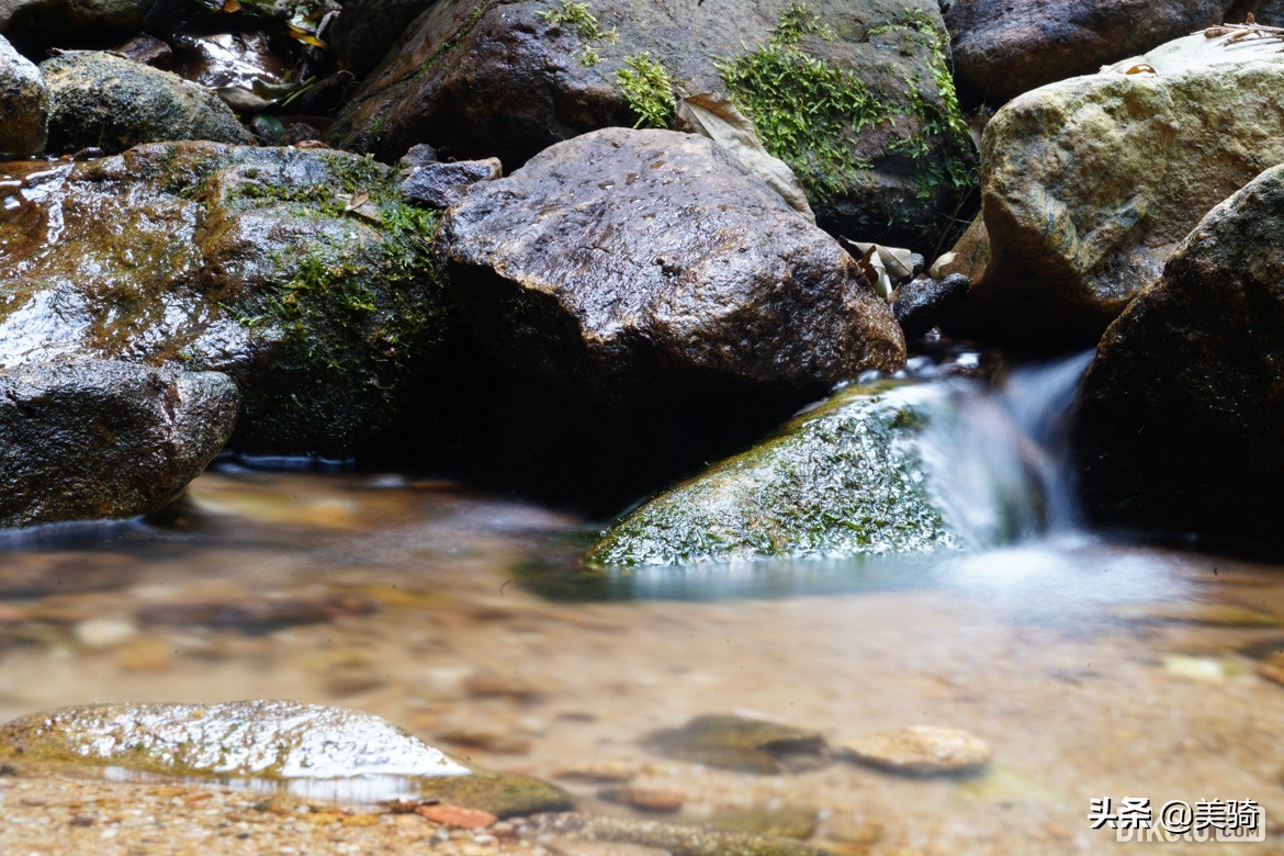 冒险砾石公路车评测,闪电公路车s-workssl7入门级