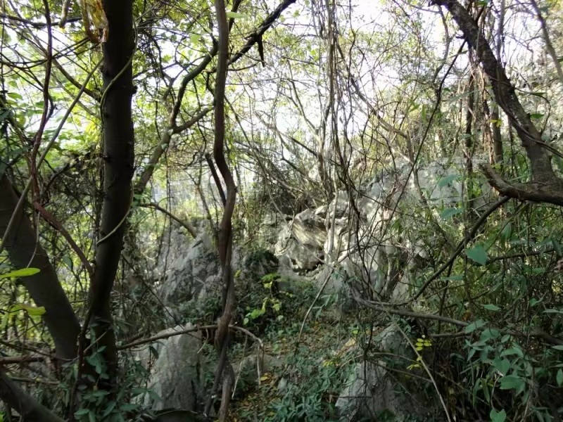 江山烟里面有药材吗,江山烟系列有哪些