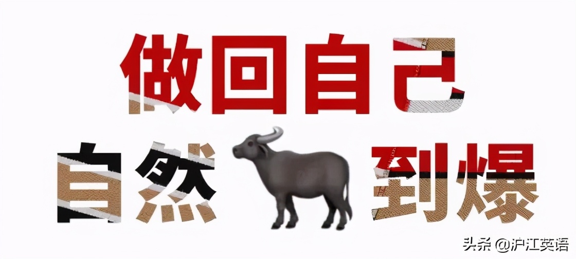 lv新款背心,lv打气背心