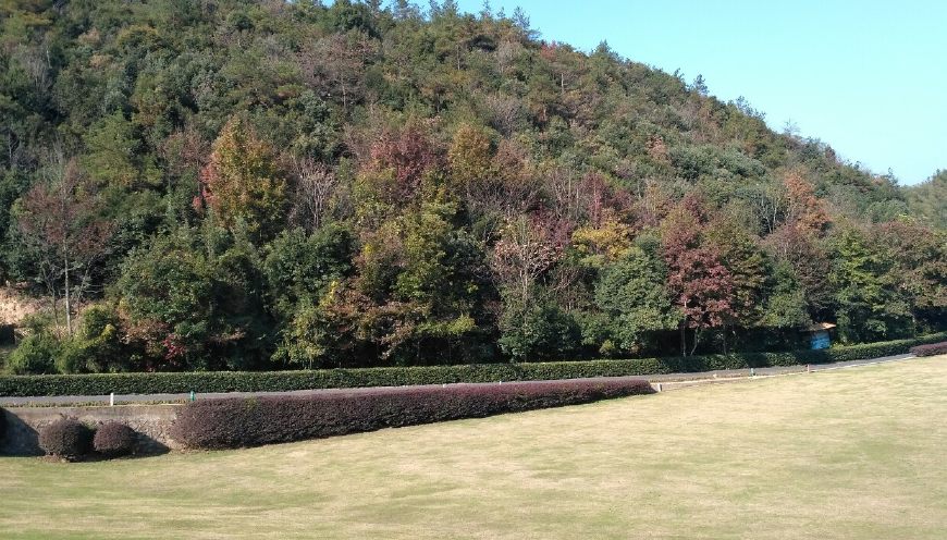 风景秀丽的宜兴竹海,漫步竹林呼吸大自然的清新