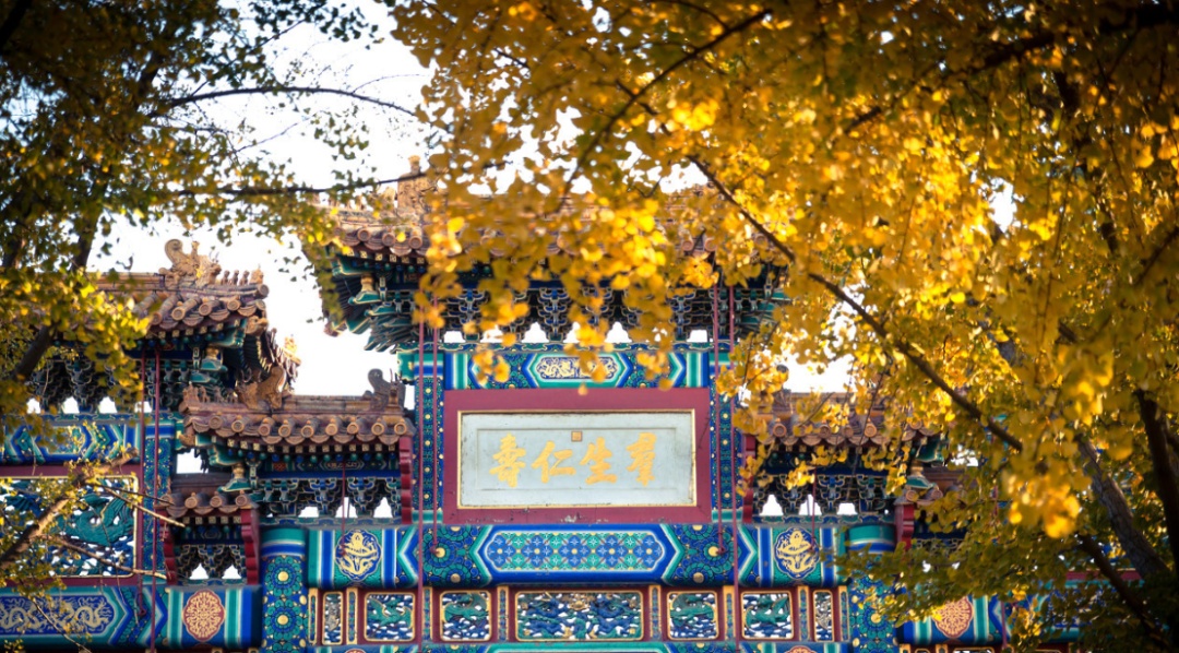 北京赏秋寺庙,北京三个景点