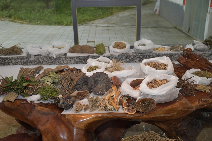 贵阳市中医名医会馆金阳医院对面,观山湖区中医名医会馆针灸科