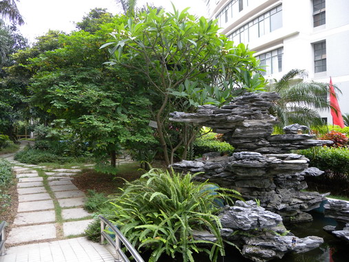 肇庆学校游玩,肇庆学院校园风景照片