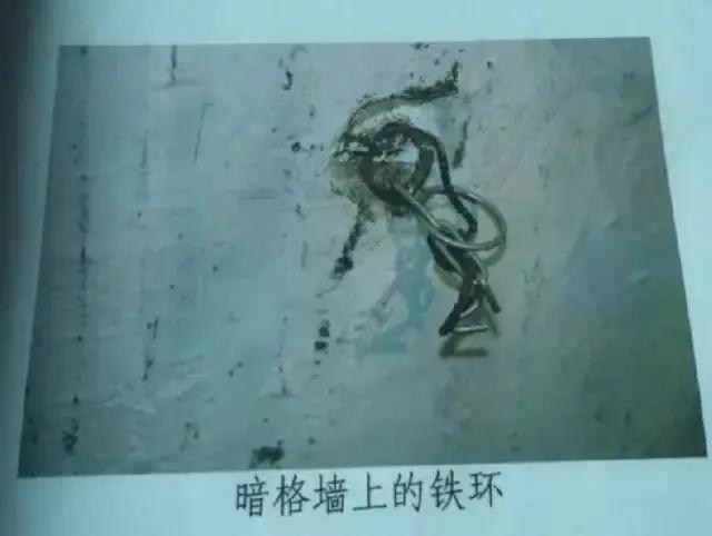 包丽死亡事件解密,女大学生包丽被害事件后续