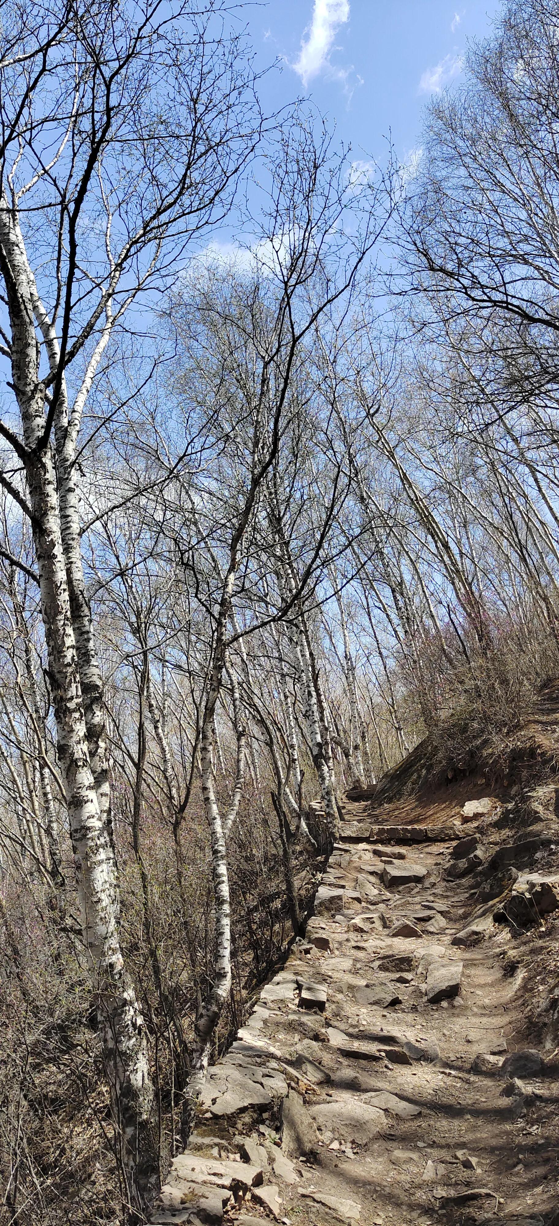 喇叭沟门原始森林住宿,喇叭沟门原始森林冰川