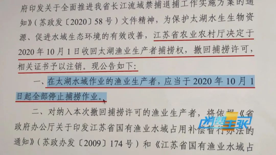直击太湖开湖现场！鲜美湖鲜大量上市，资深吃货准备好了吗？