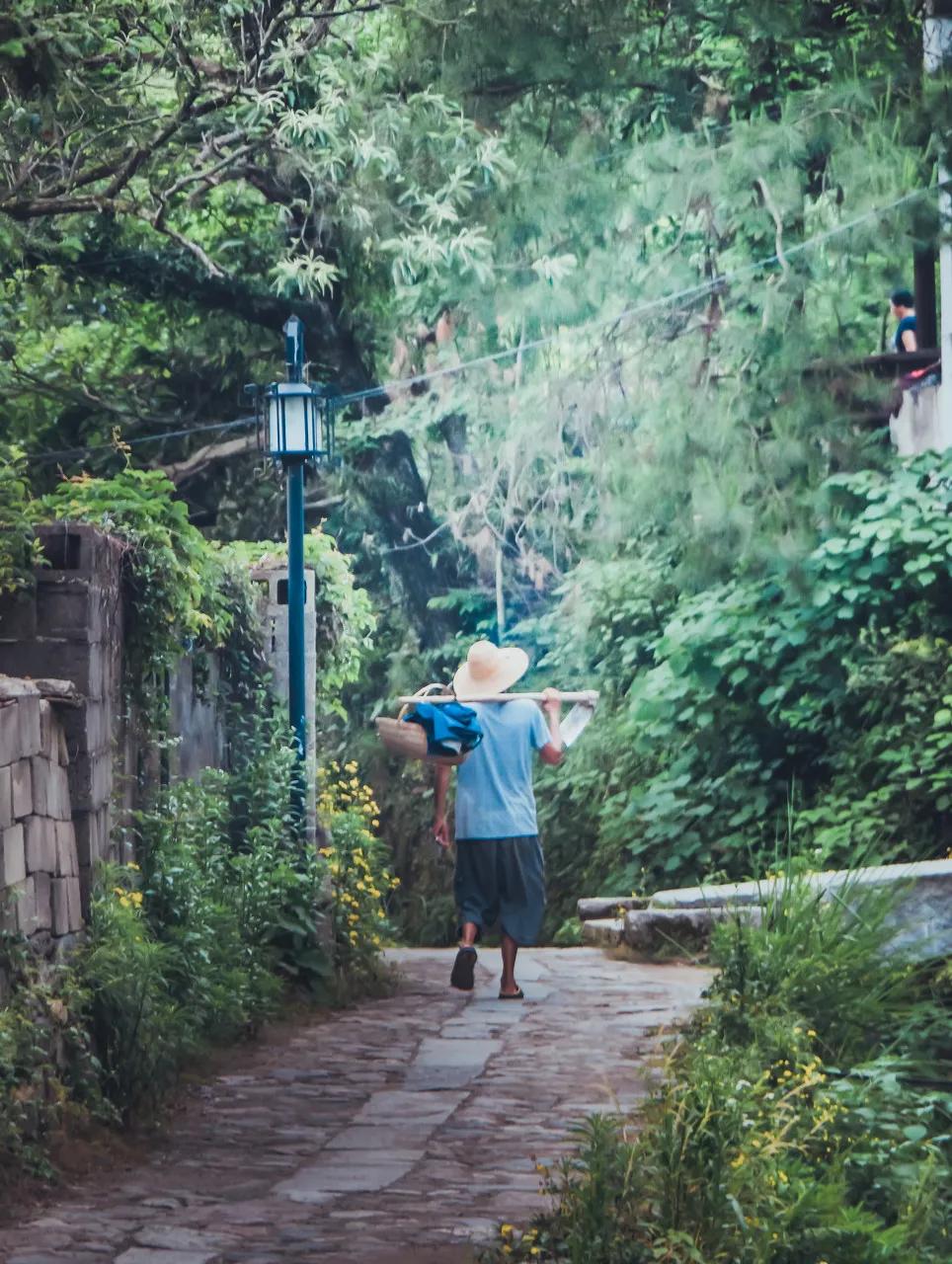 安徽春天美丽的视频,安徽美丽的春天