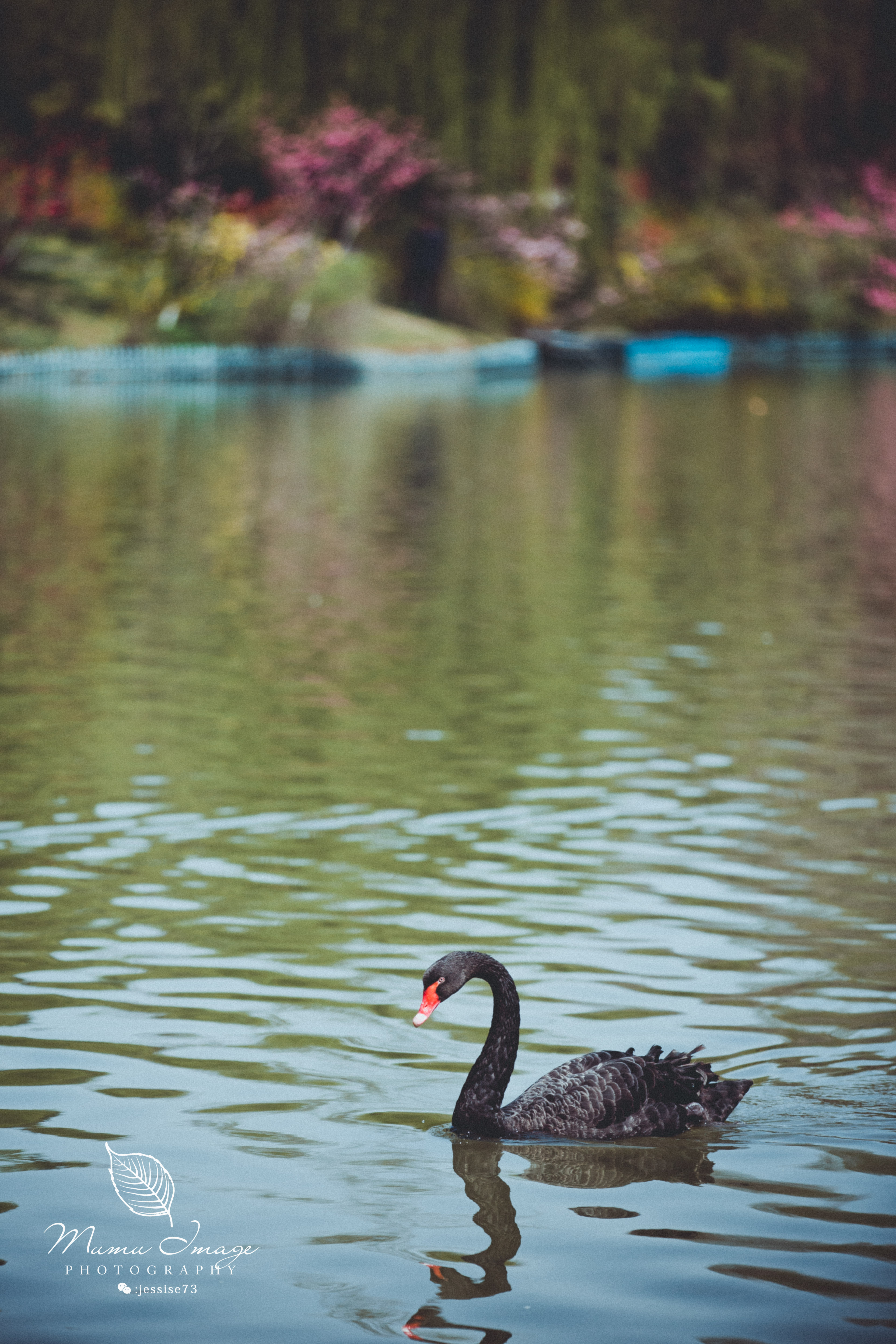 扬州是个不花钱的公园,扬州本地人最喜欢去的公园