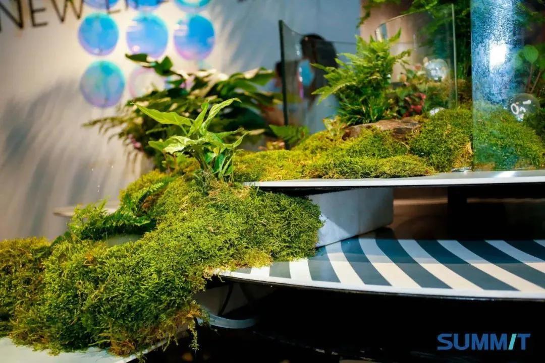 闄堢鍚涜惃绫崇壒,钀ㄧ背鐗归檲绂忓悰