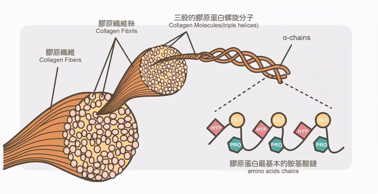 为什么抬头纹显得人这么老,多年的抬头纹怎么解决