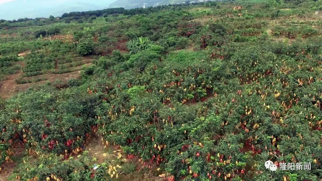 家乡美正背面分解,家乡美农业生态园