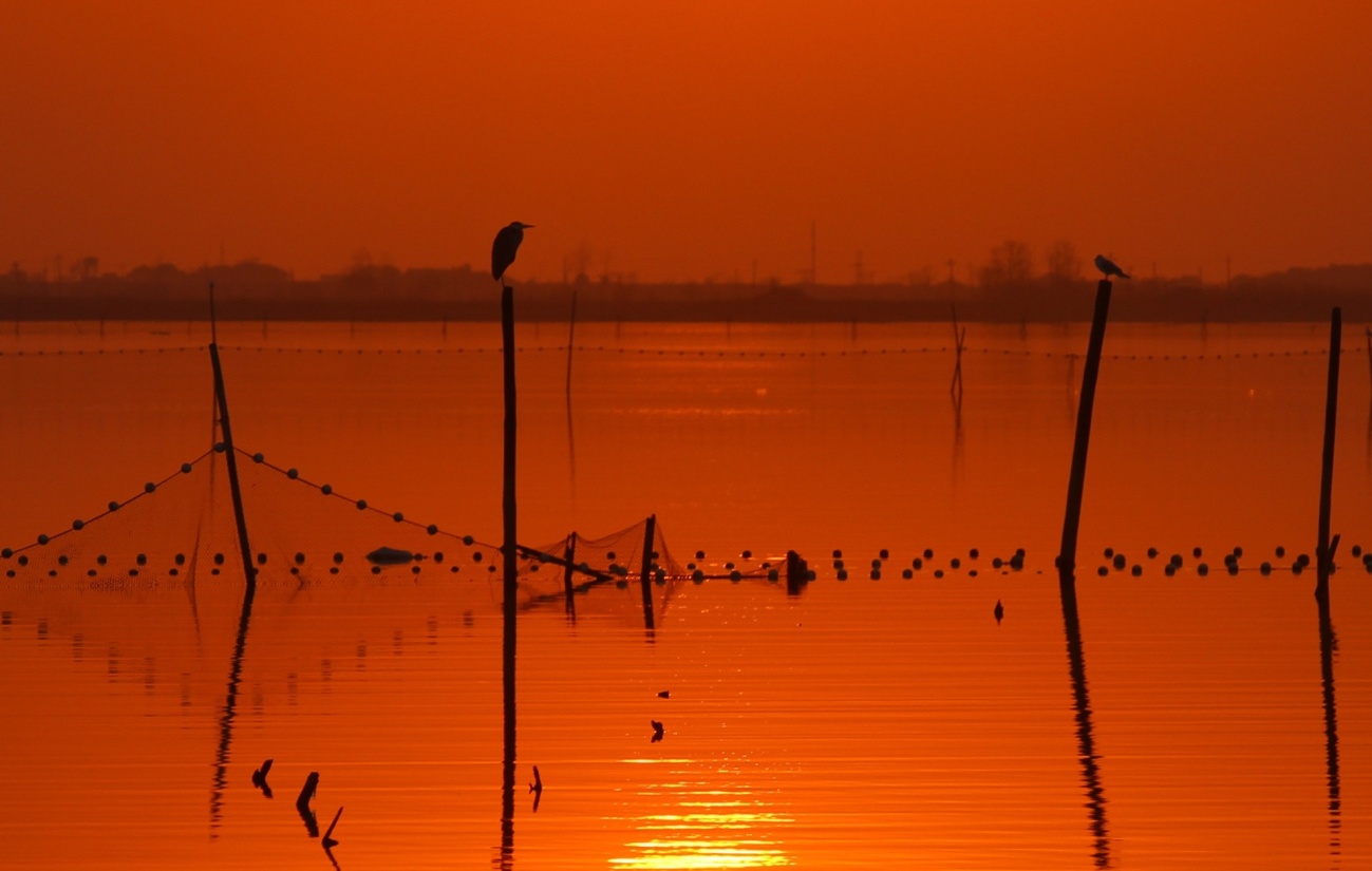 用镜头捕捉瞬间用光影记录感动,用镜头记录人生用心灵感悟美好