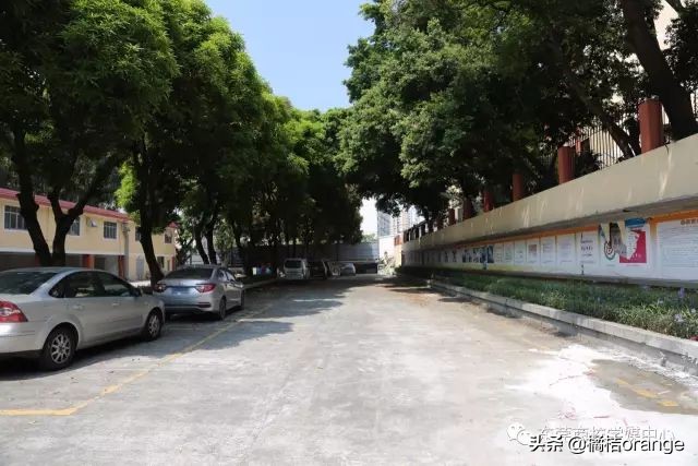 读东莞市商业学校要什么条件,东莞读书的真实感受