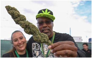 加拿大的大魁北克,加拿大大麻问题