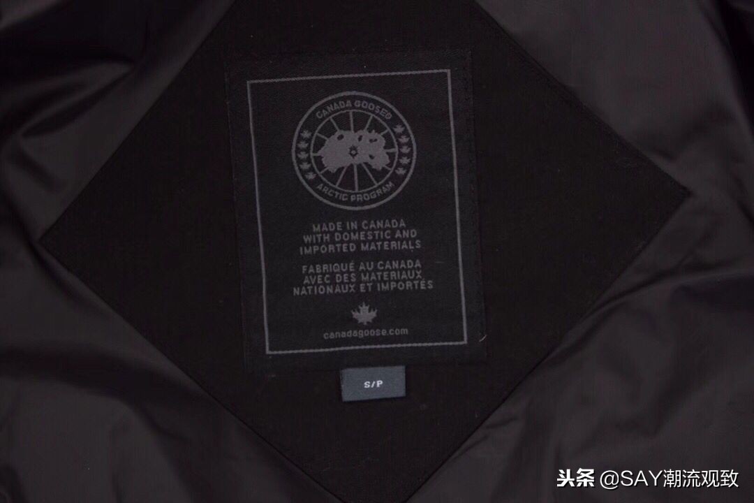 大鹅怎么出名的,今年为什么流行大鹅羽绒服