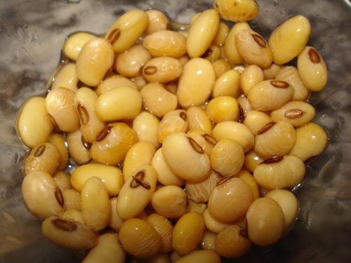 四年级上册第三单元观察日记400字,四年级三单元习作观察日记怎么写