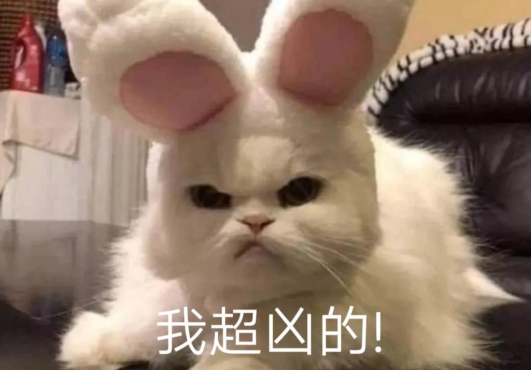 搞笑表情包结尾定格,搞笑表情包告辞