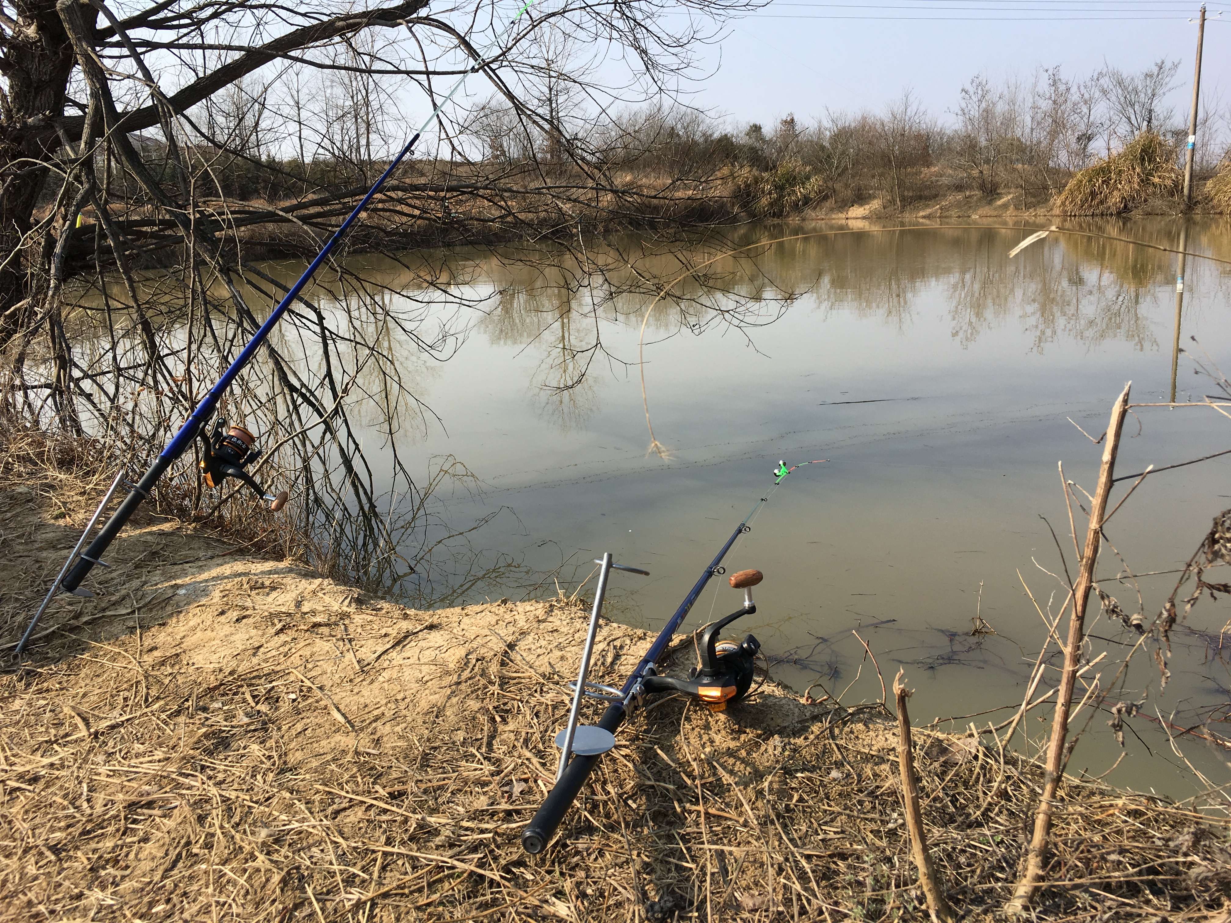 经常钓不到鱼原来是少了这个步骤,冬季晴天10度钓鲤鱼钓深还是钓浅