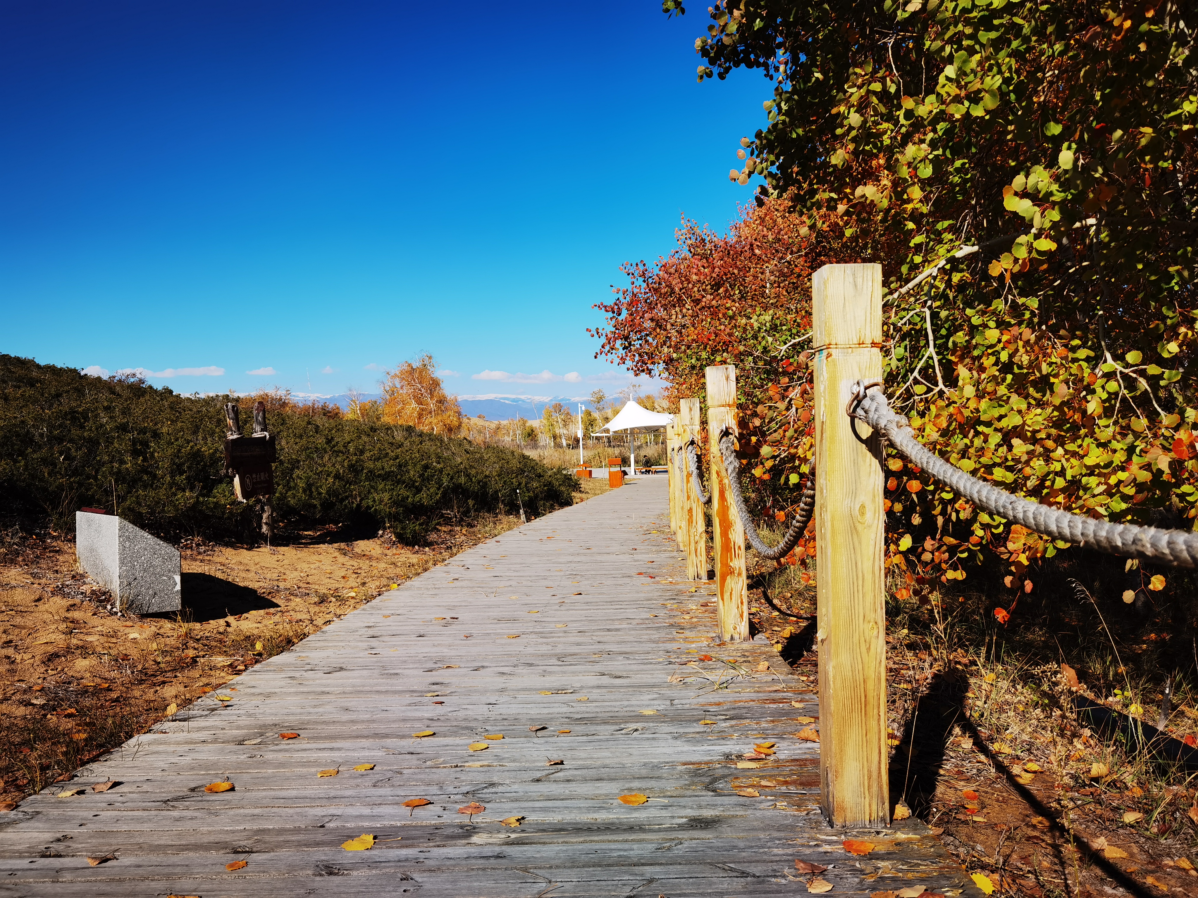 自驾游*疆新**：原来你是这样的白沙湖