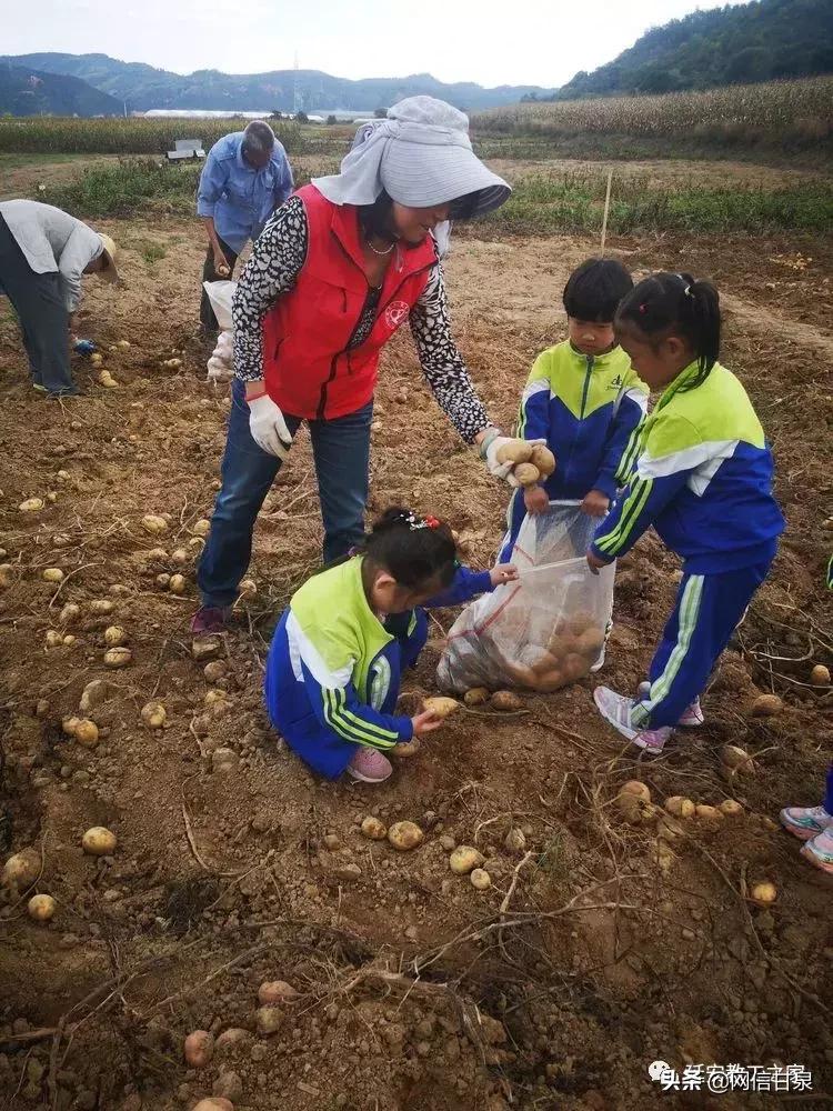金太阳幼儿园校门,延安市甘泉谢金庄幼儿园