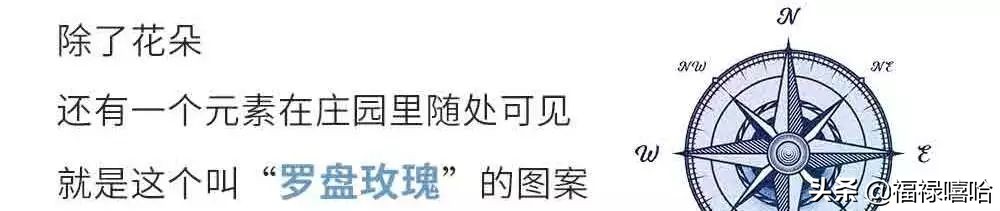 dior王丽坤短发,dior罗盘玫瑰篇