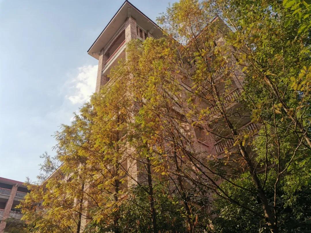 耒阳市正源学校开学时间,耒阳市正源中学曹思