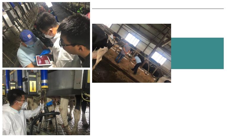 近4000人次收看——无乳链球菌的危害及清除计划的实施要点